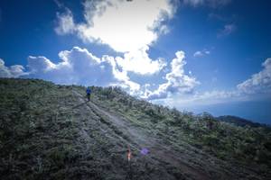 BIB: 
                            <button type="button" onclick="openModal(15955422)" class="btn btn-primary btn-sm float-right btn-popup" data-toggle="modal" data-target=".modal-high-quality">
                        <i class="fas fa-shopping-cart"></i> Add to Cart
                    </button>
                                            <button type="button" onclick="isThisMe(15955422, true)" class="btn btn-success btn-sm float-right btn-popup btn-isme hidden" data-toggle="tooltip" data-placement="bottom" title="นี่คือรูปของคุณใช่ไหม คลิกที่นี่เพื่อเอาเข้าอัลบั้ม">
                        <i class="fas fa-plus"></i> Add to album
                    </button>
                    <button type="button" onclick="isThisMe(15955422, false)" class="btn btn-warning btn-sm float-right btn-popup btn-isnotme hidden">
                        <i class="fas fa-ban"></i> Remove from album
                    </button>